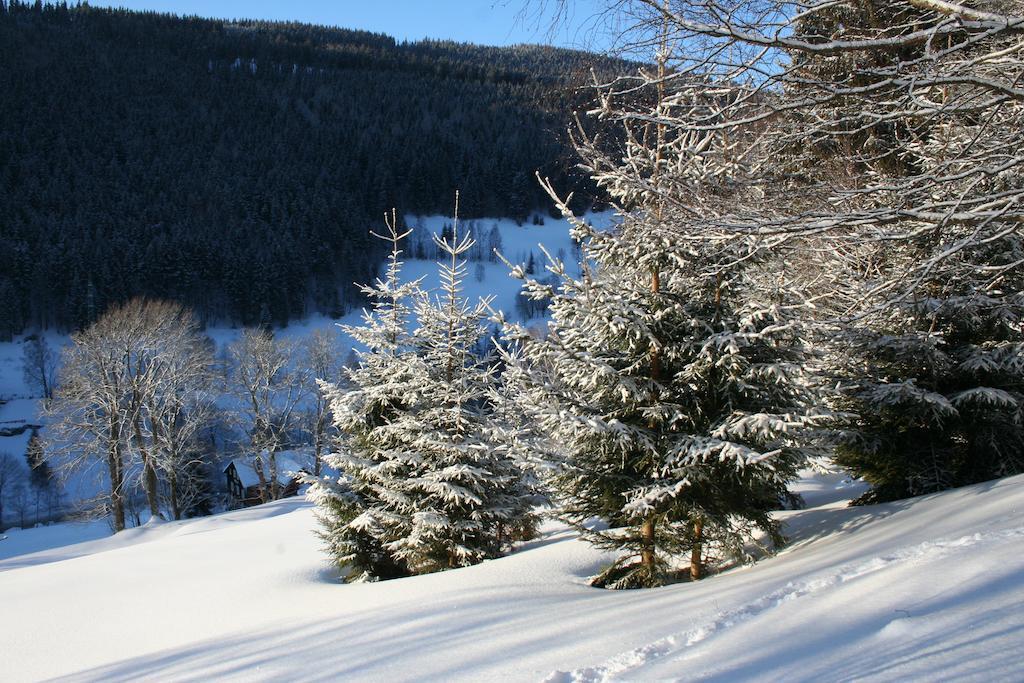 Penzion Pampeliska Pec pod Sněžkou Exterior foto