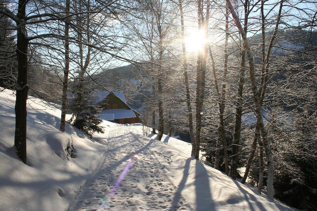 Penzion Pampeliska Pec pod Sněžkou Exterior foto
